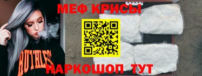 спиды Кингисепп