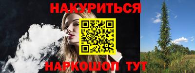 спиды Кингисепп