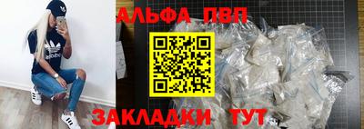 спиды Кингисепп