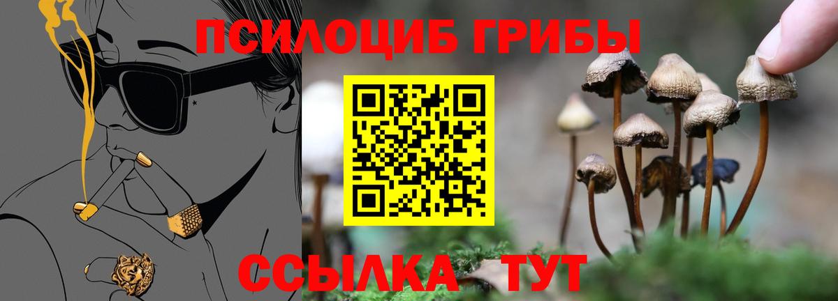 Галлюциногенные грибы MAGIC MUSHROOMS  Вход с VPN  Галлюциногенные грибы мицелий  наркошоп  Красноармейск 